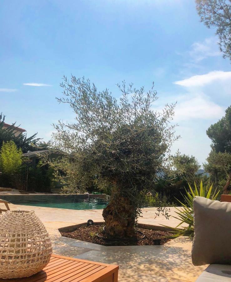 Homestay Bormes * Bormes-les-Mimosas